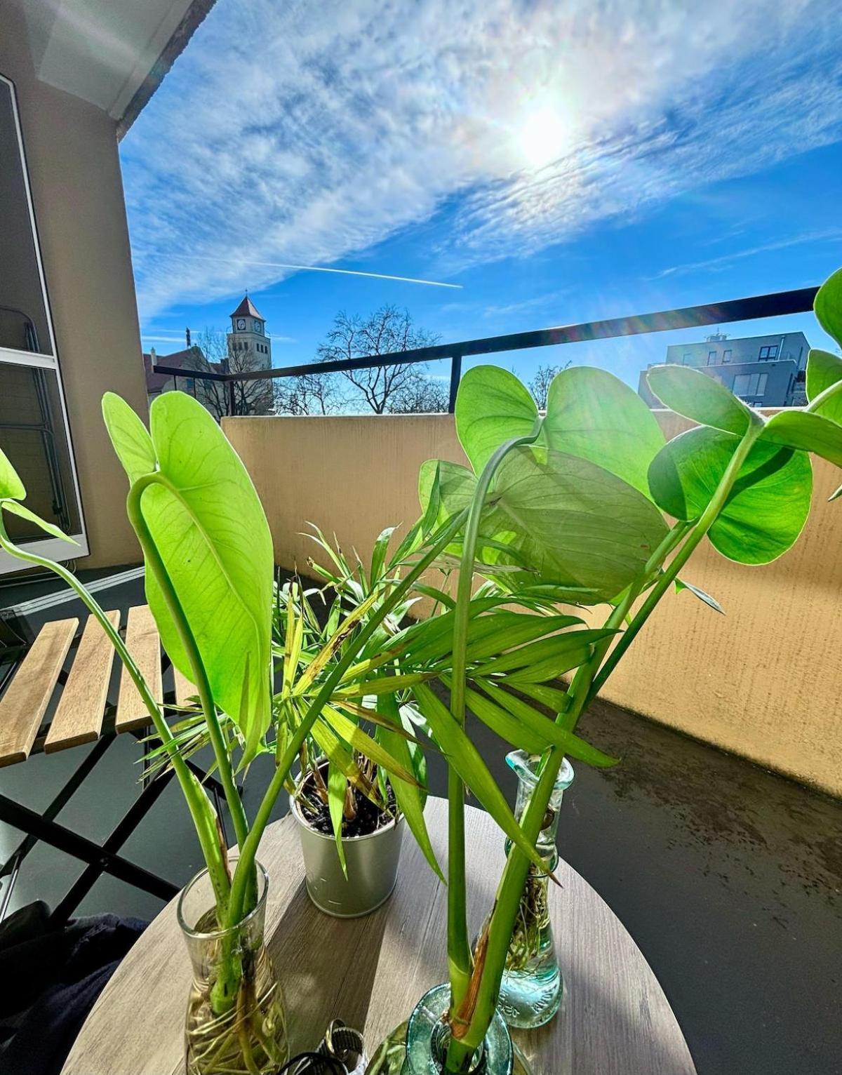2-room With Balcony And Kitchen Apartment Nürnberg